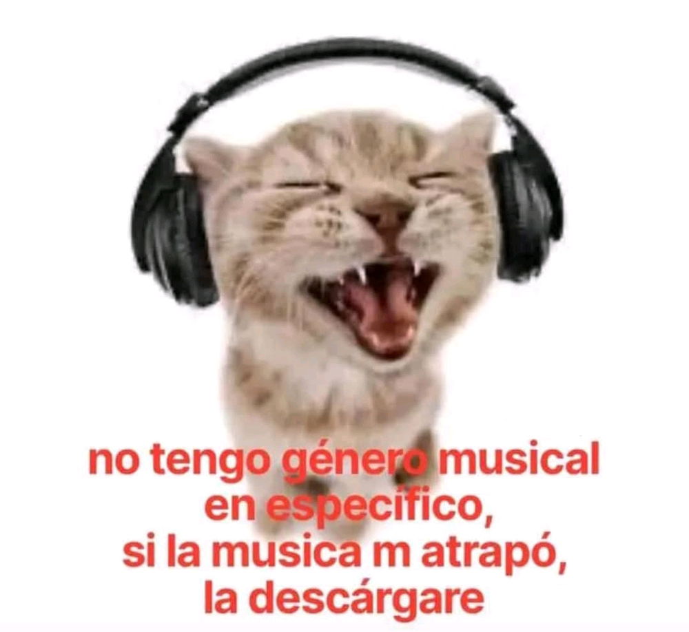 🗣️🎶
