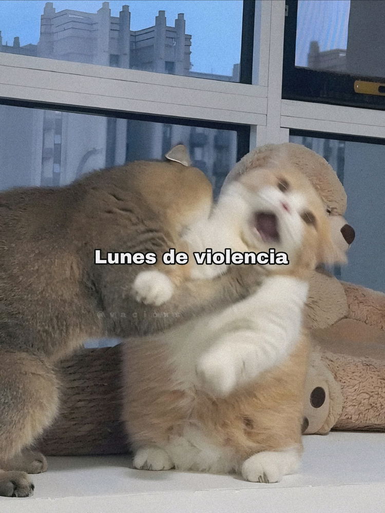 😠