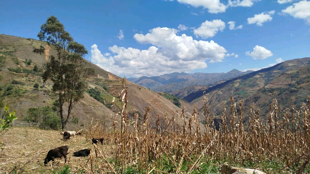 Una historia detrás de cada montaña 💚⛰️