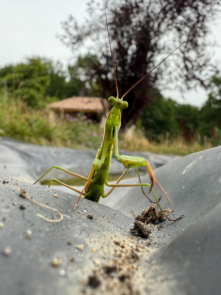 Photo pris aujourd’hui