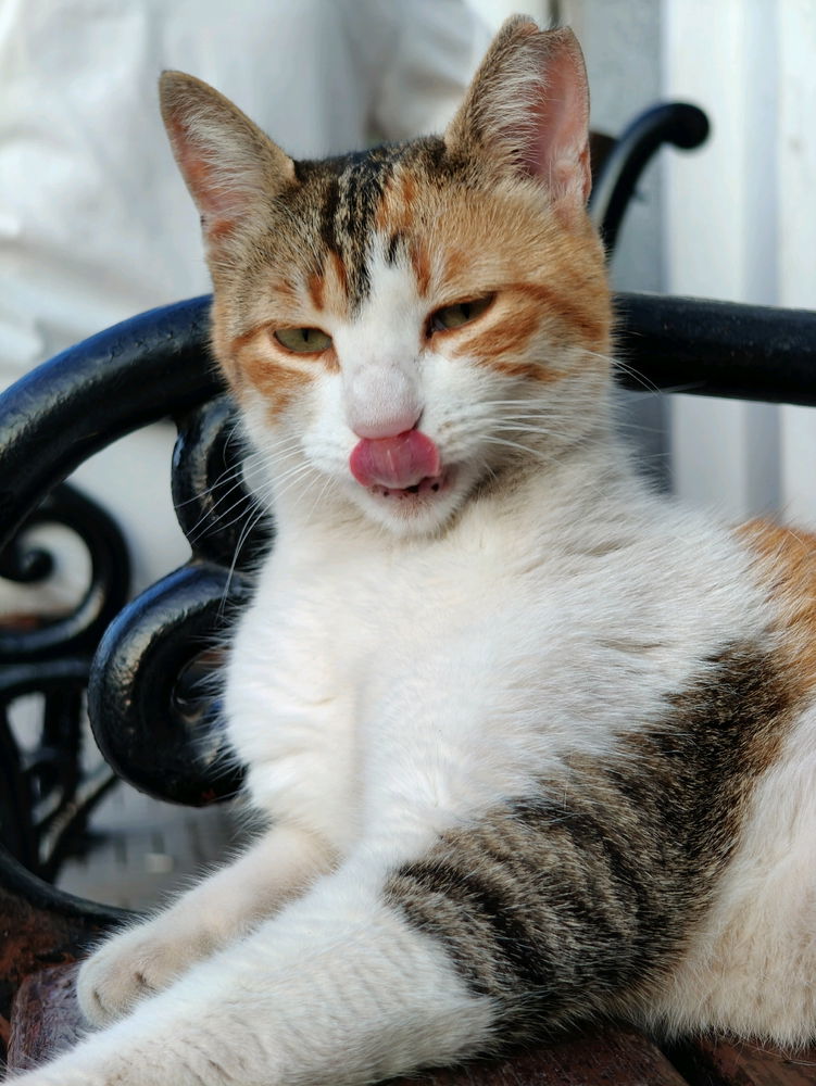 😛