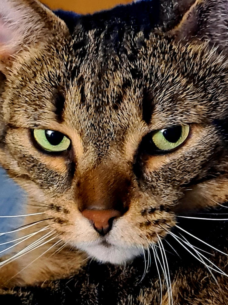 Feed me, woman.