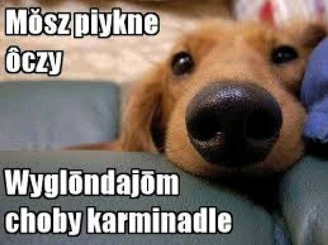 Kulinarne skojarzenia