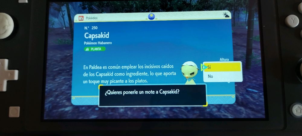 Lo de hoy!!