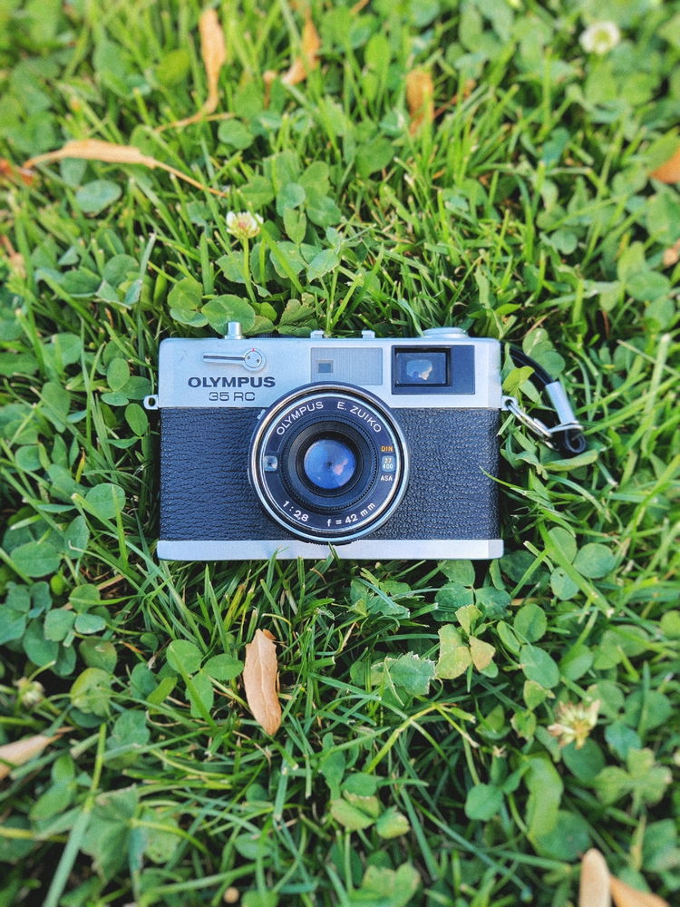 My film camera 📸🎞️
