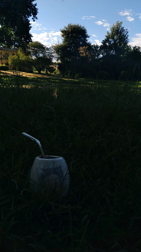 Luego del trabajo🌿