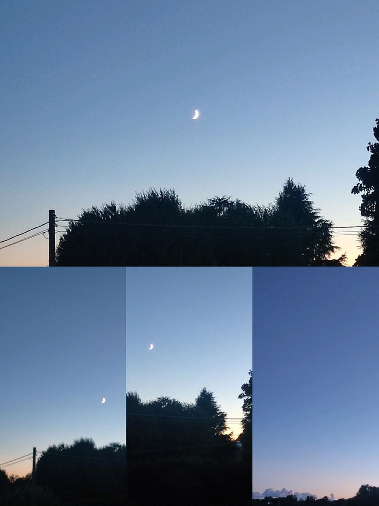 Cielo notturno
