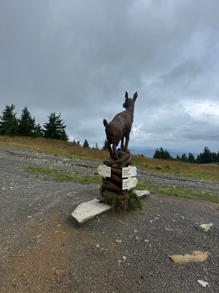 Dnešní hike na Šerák