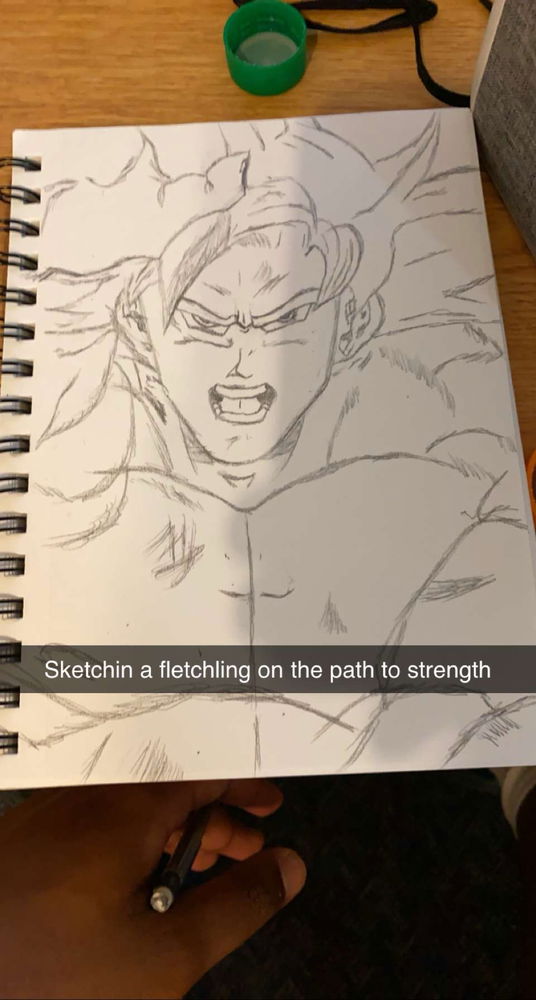 99% of the goku arts in book 3(one more coming up ik lol. Had a vegito fight sketched up