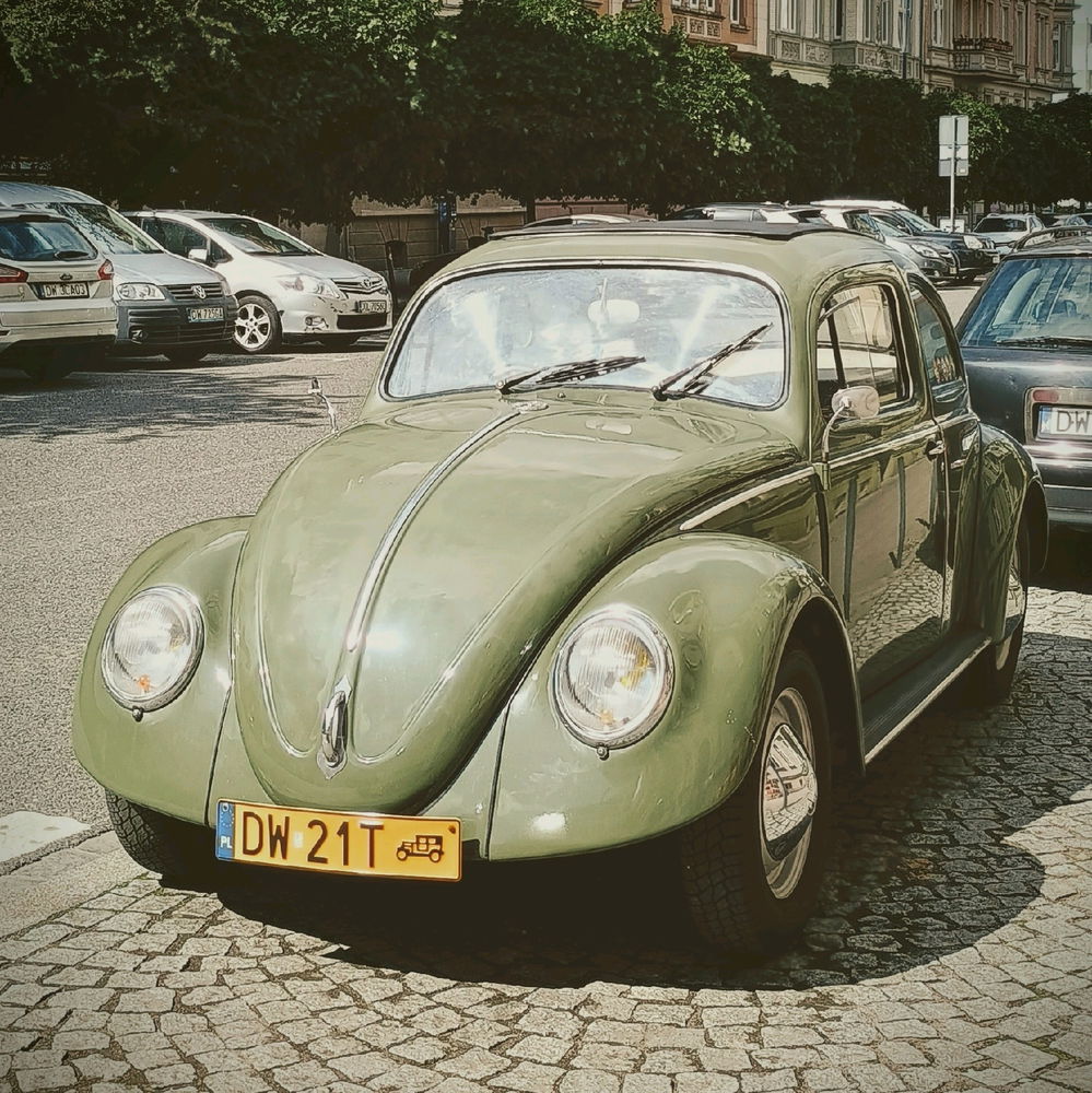 Słodziak 🤩