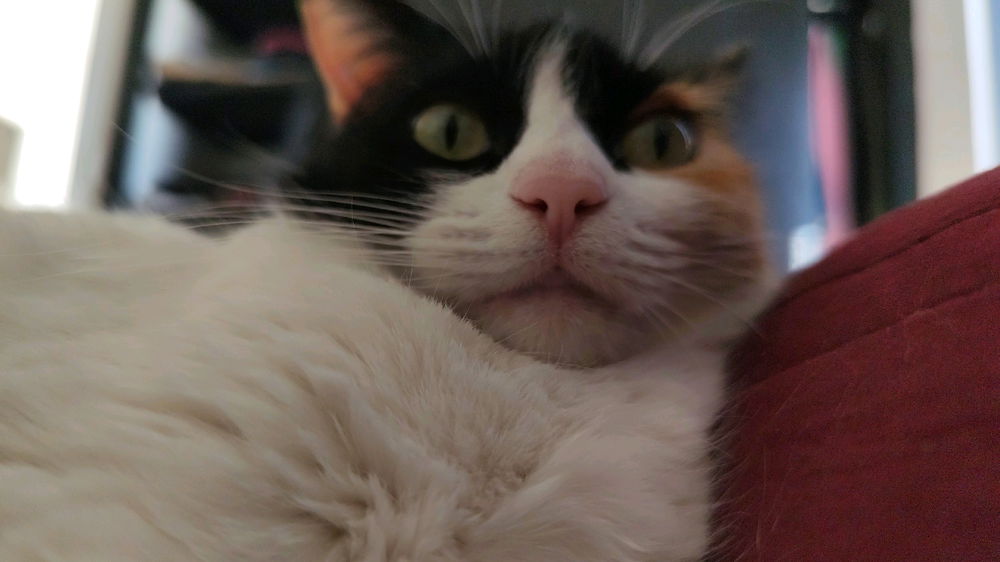 Anastasia.