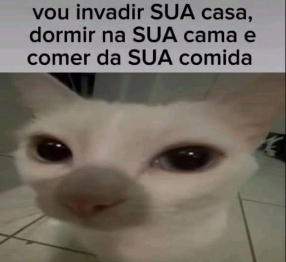 Alguém quer conversar?