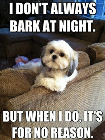 The Most Interesting Dog in the World...