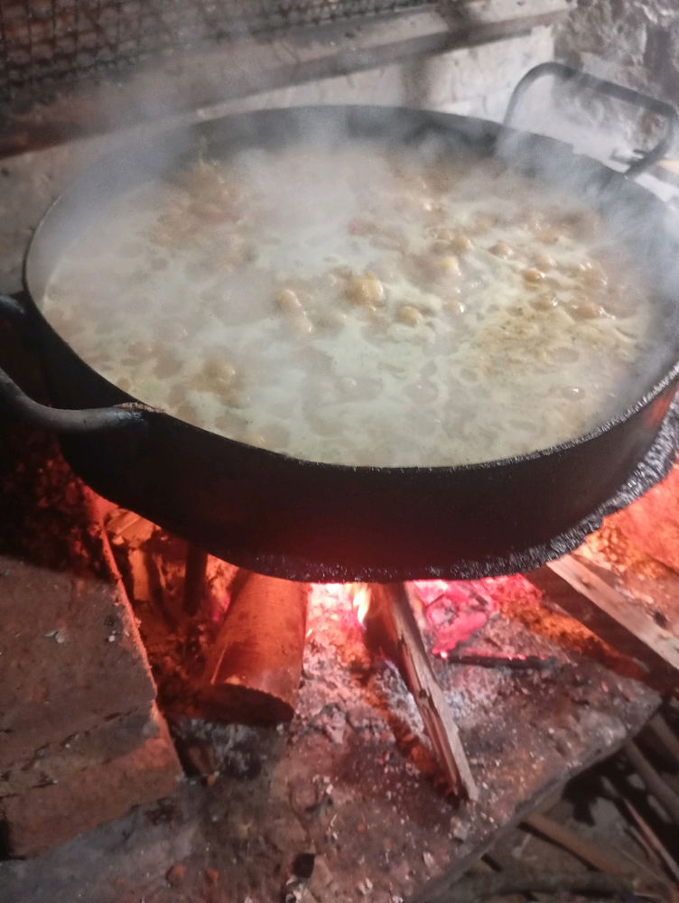 Arroz con pollo al disco