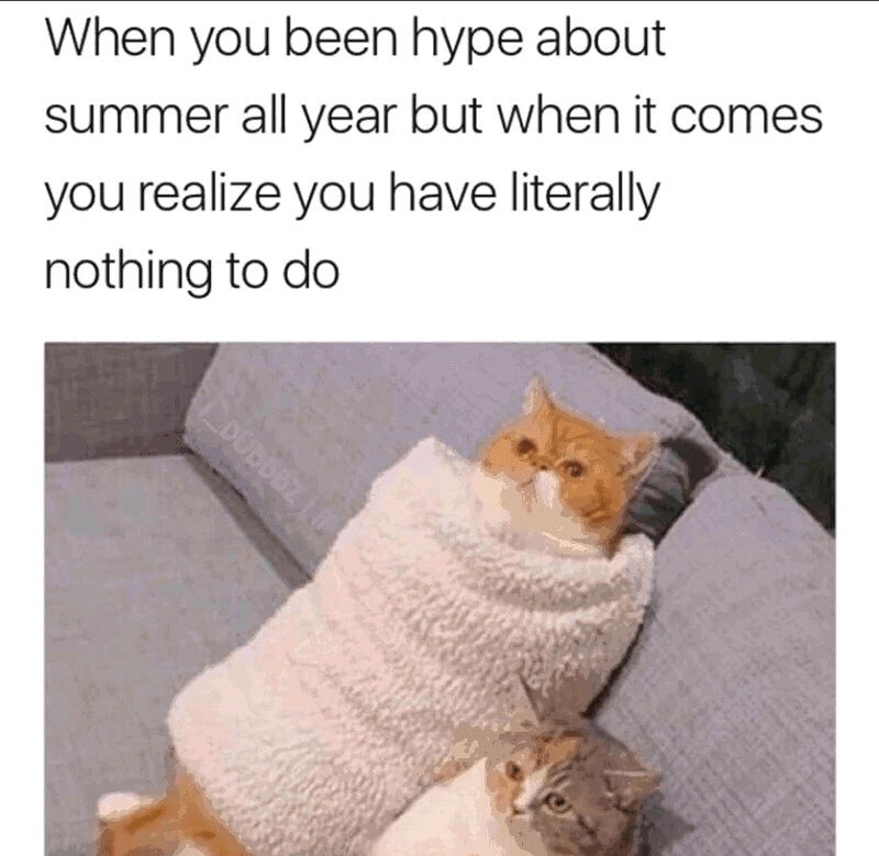 Welp