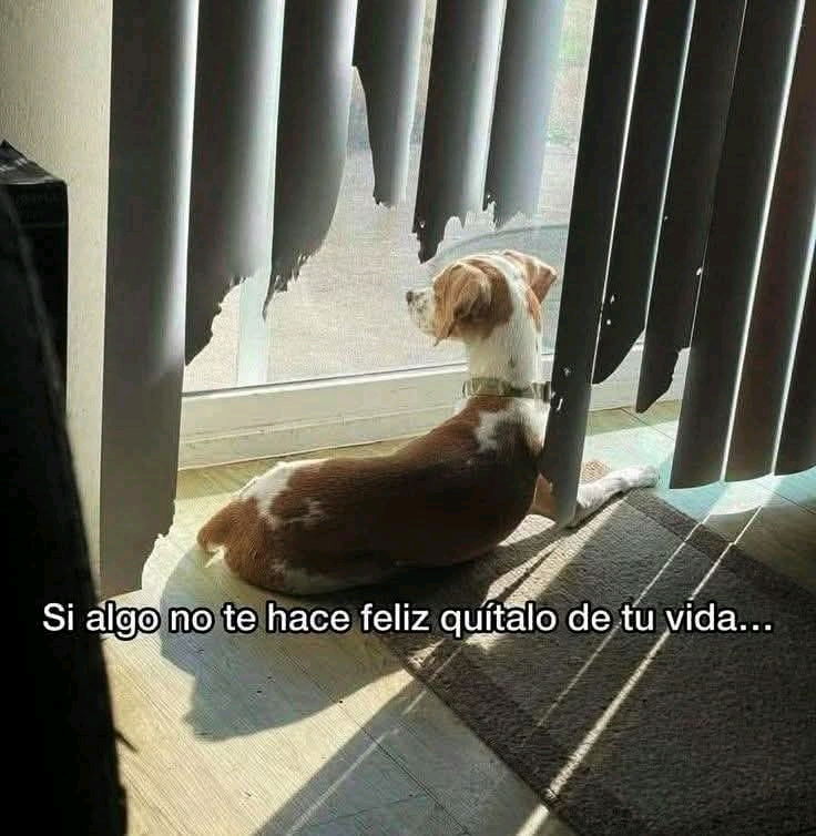 Jajajajajajajajajajaja
