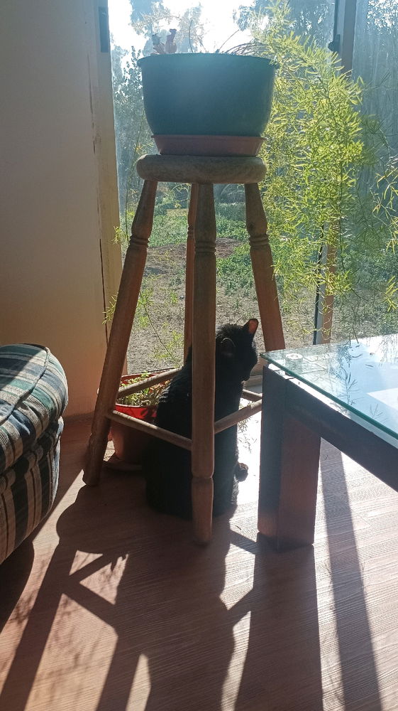 Tomando sol