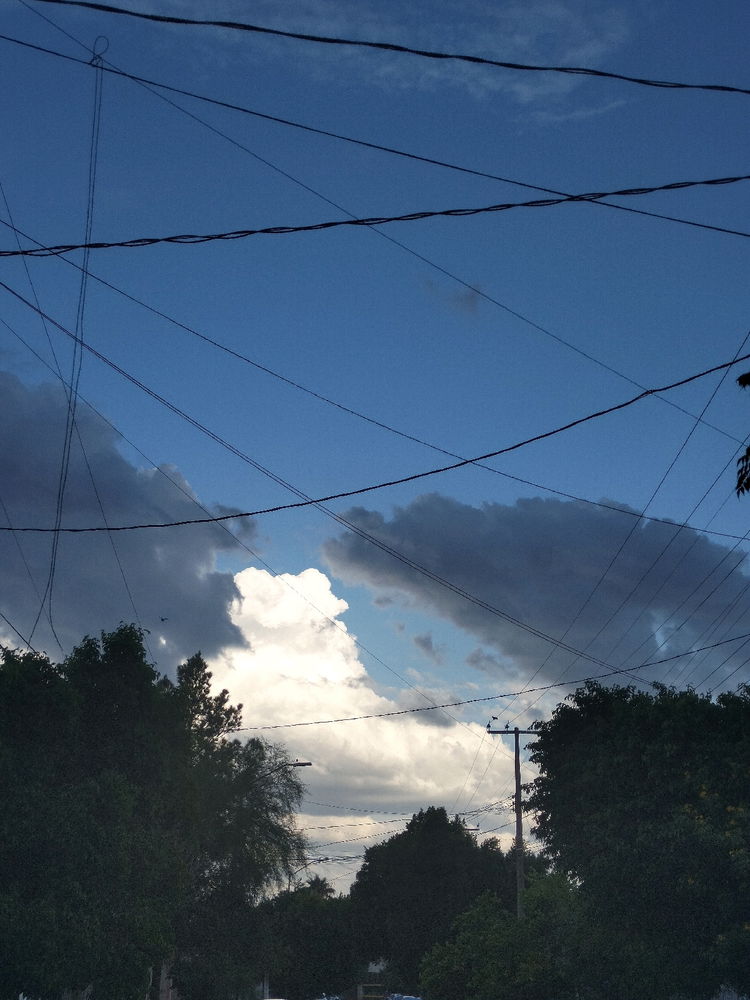 Tarde Lluviosa ⛈️