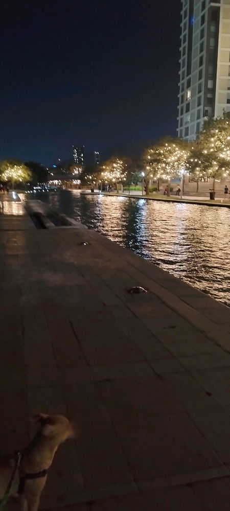 Algún parque así de bonito donde acepten perros?