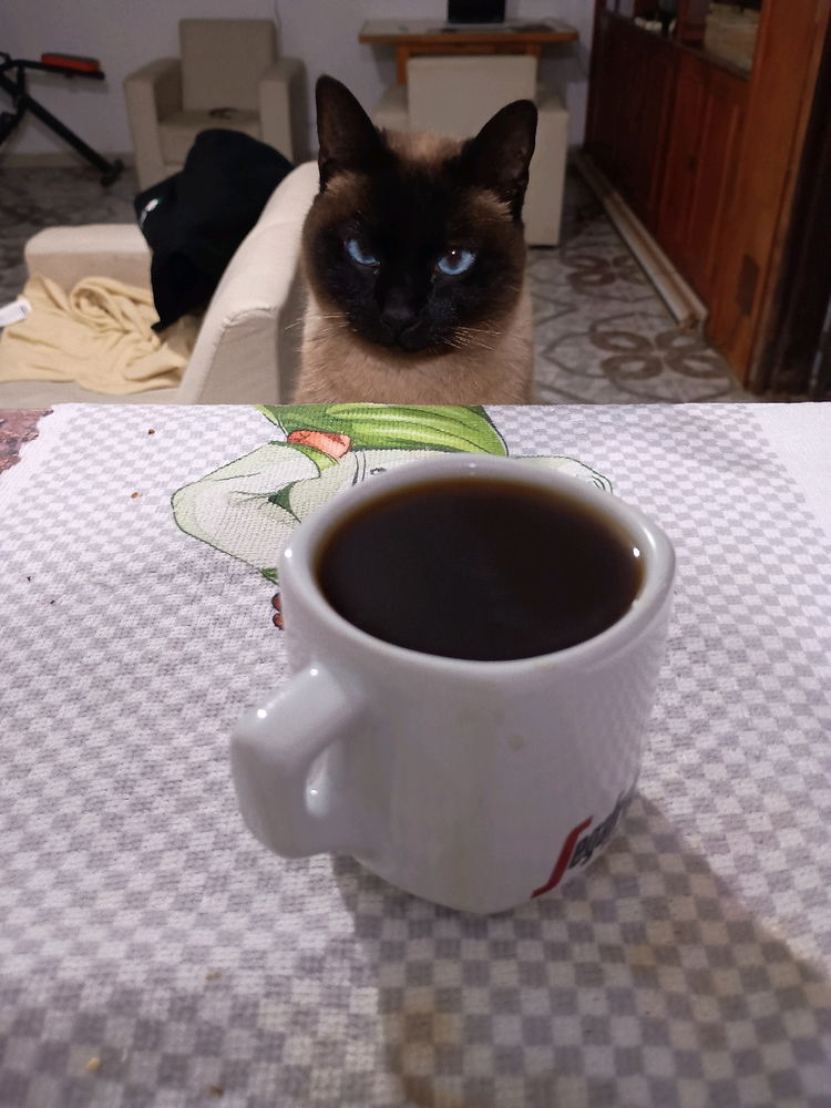 Mi compania