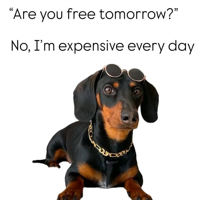 🐶