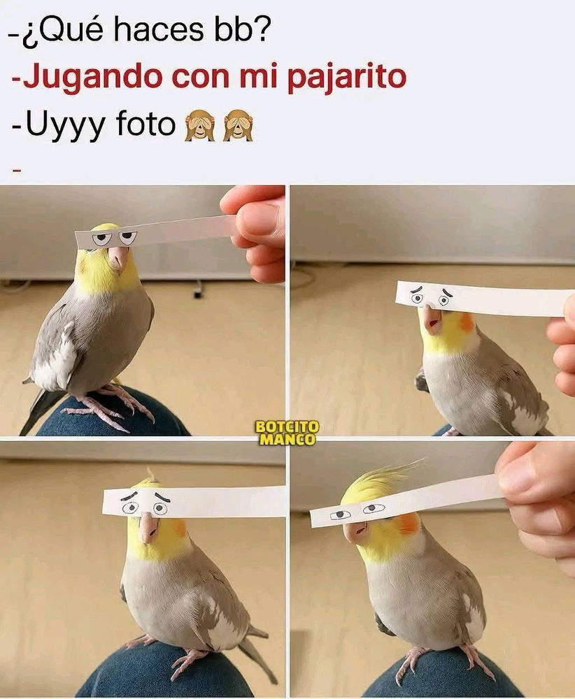 Tome pues