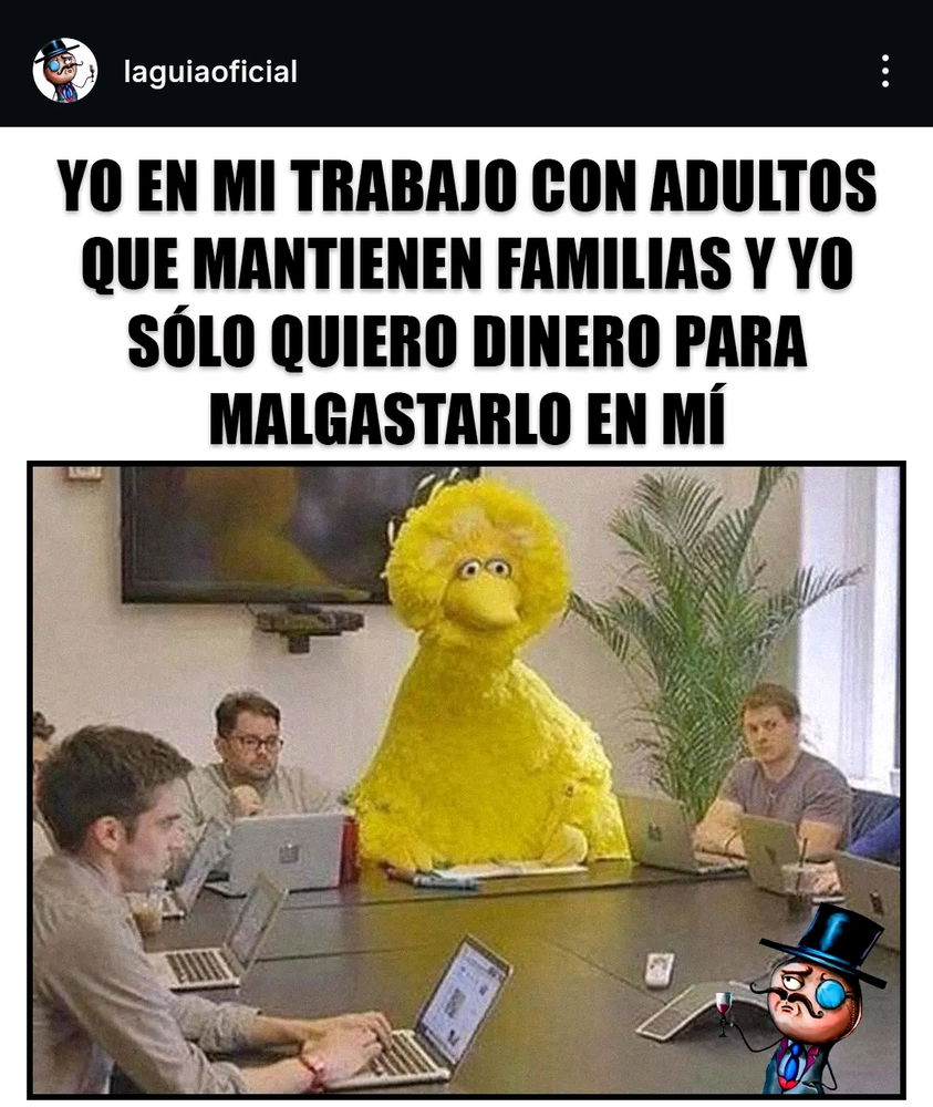 Desde mi privilegio de adulto sin responsabilidades 😅
