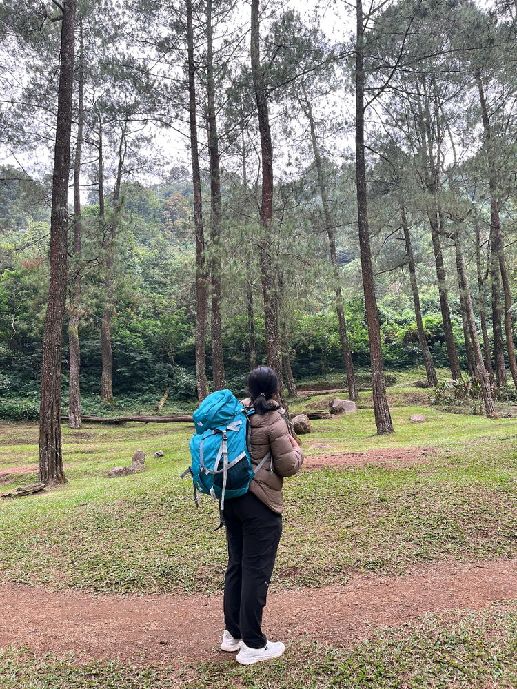 Back to nature
