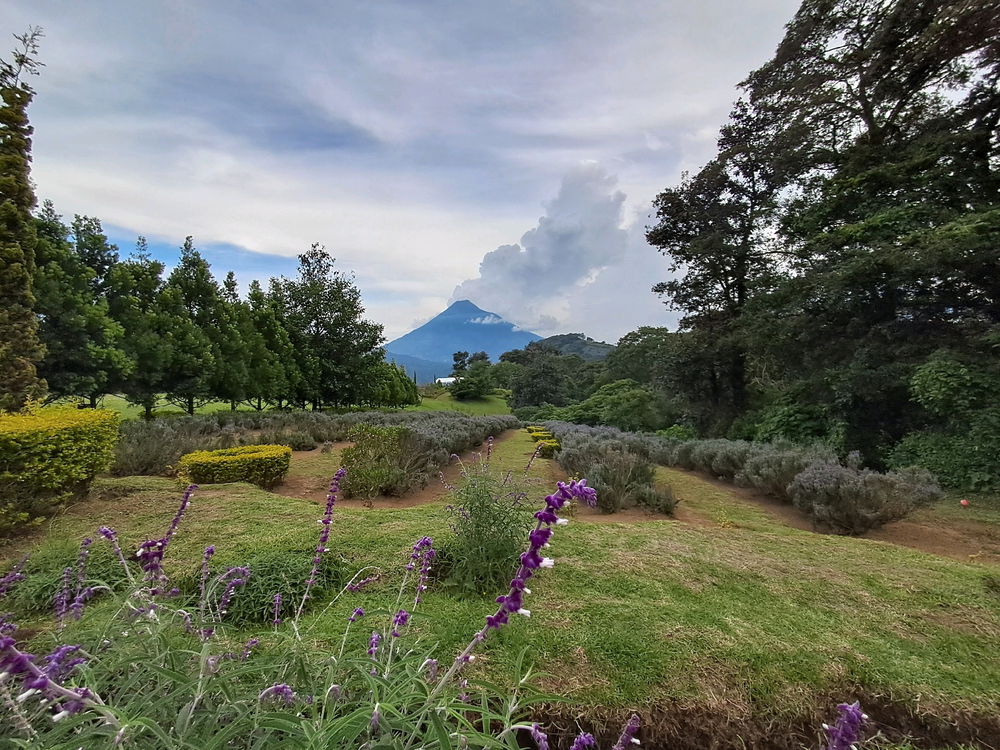 Finca provenza