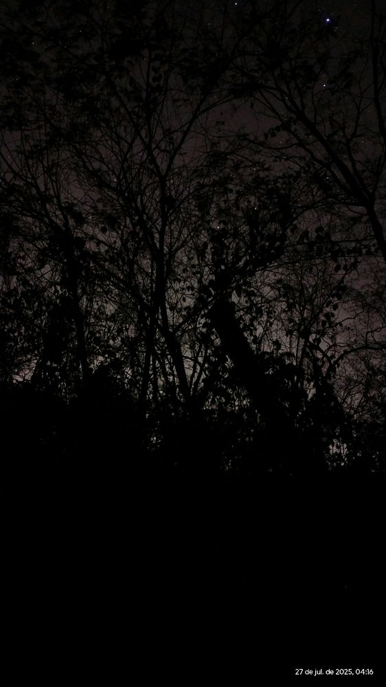 Isolado na escuridão