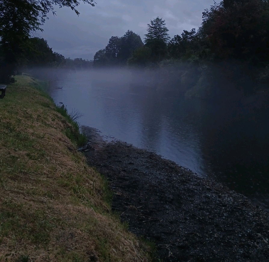 Agua