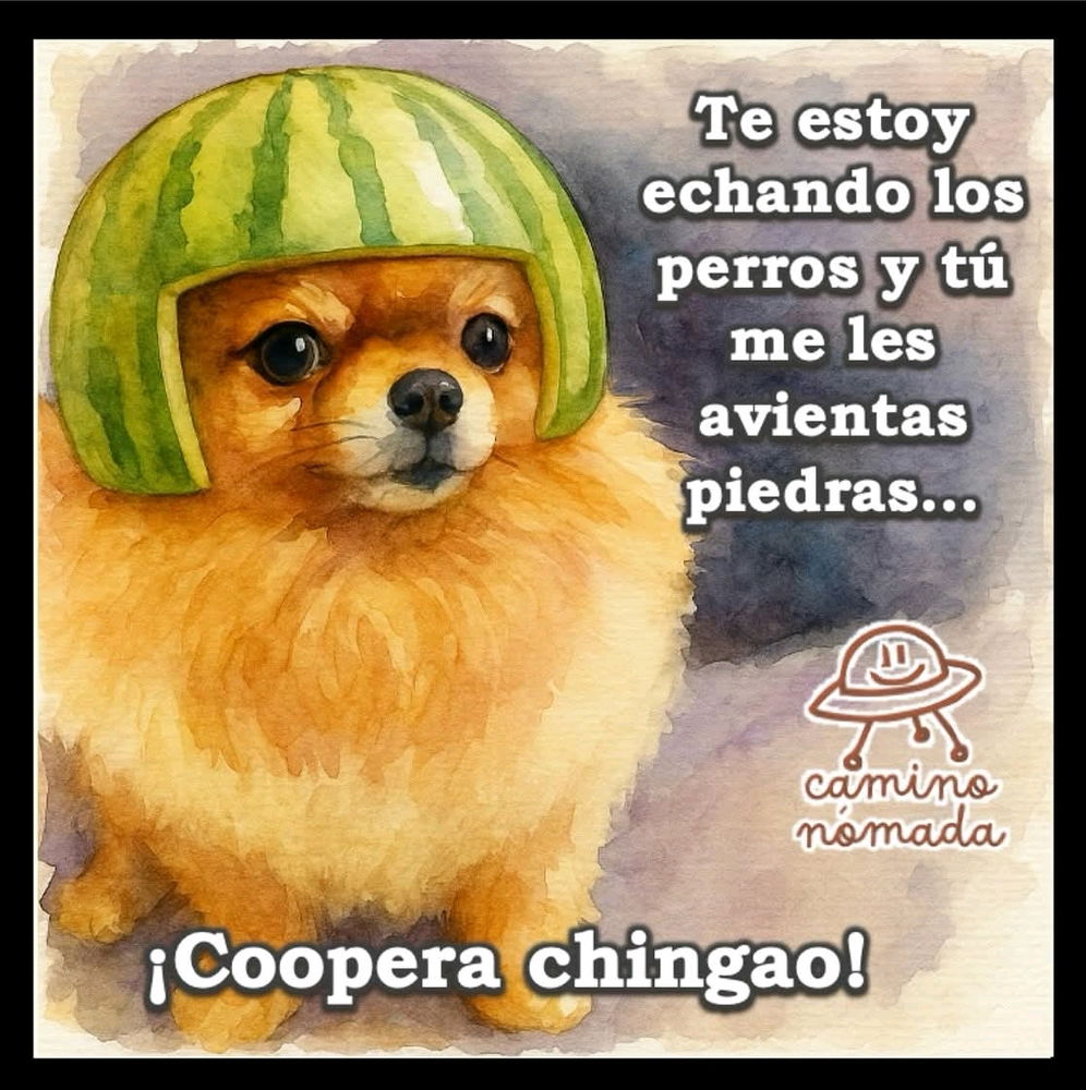 Coopera