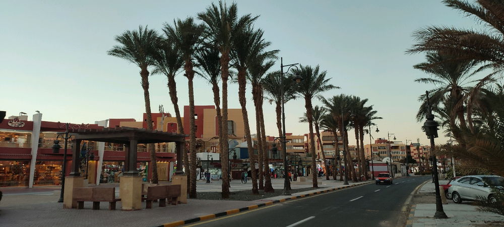 Trip to Egypt