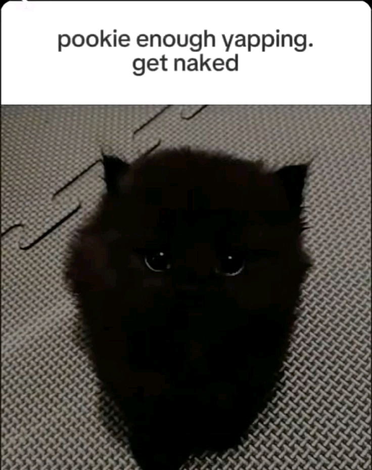 How funny cat pictures boost your mood?