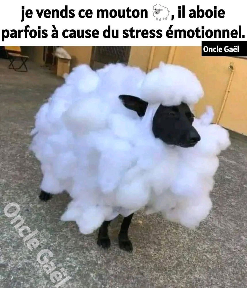 Bonne journée😉