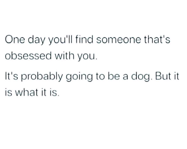 🐶