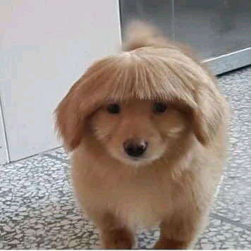 ✂️