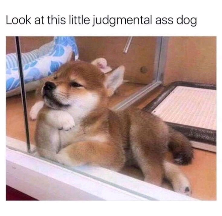 🥰