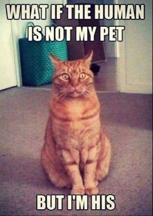 😀