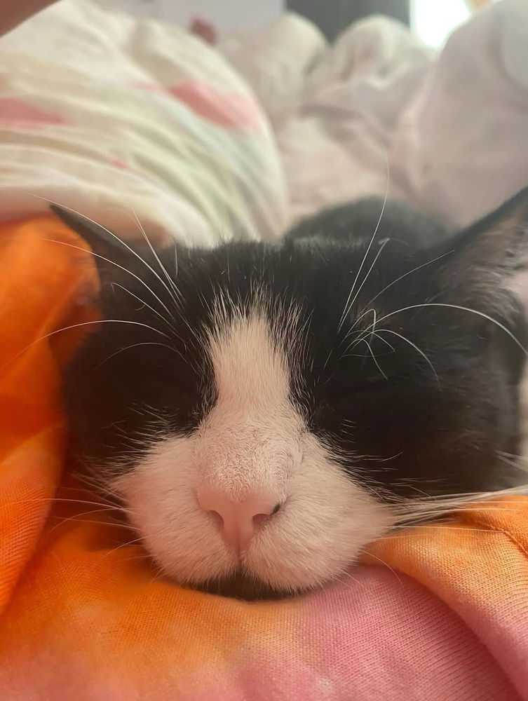 💤