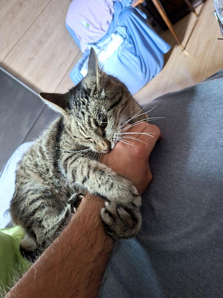 Nom Nom Nom grumpy