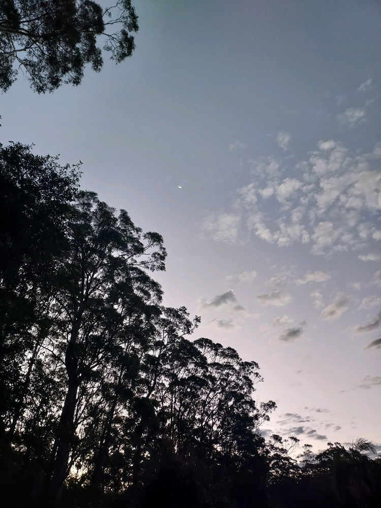 Cold Aussie vibes