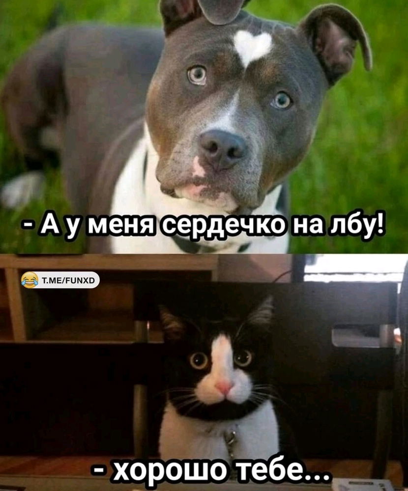 Упс🤭