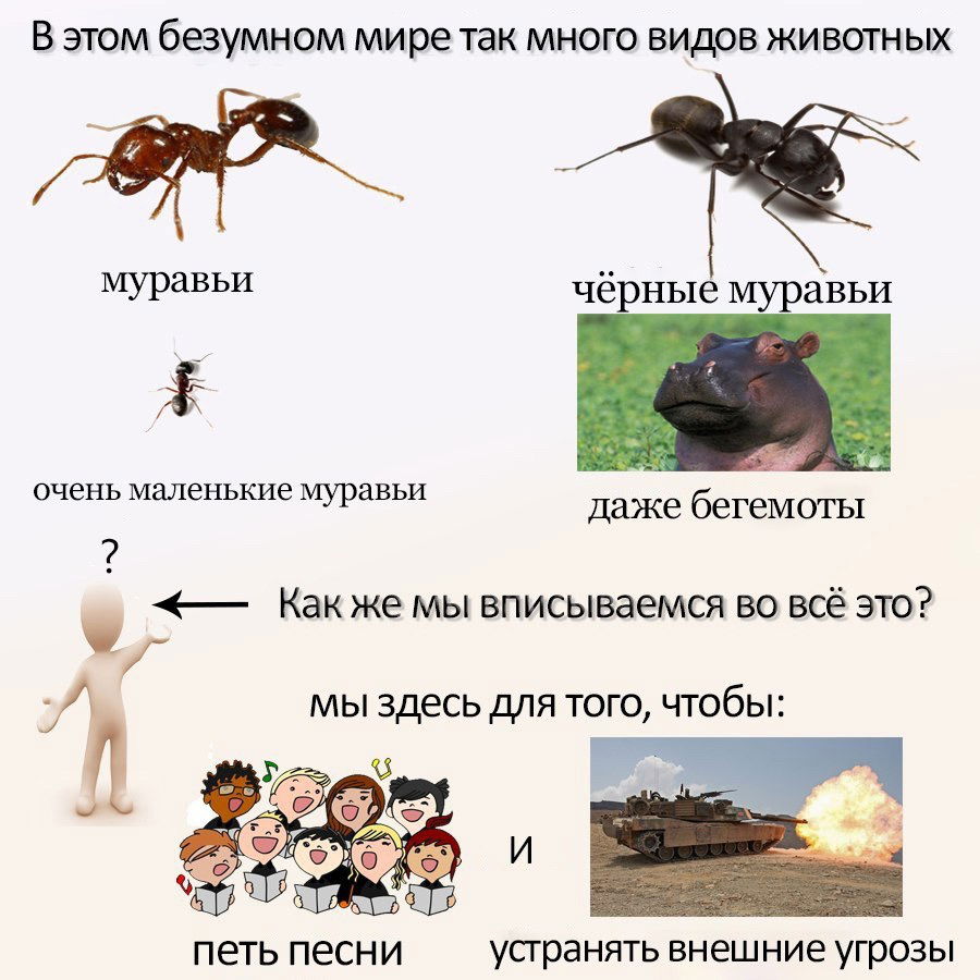 Любимая картинка