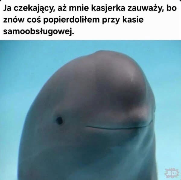 Czekający