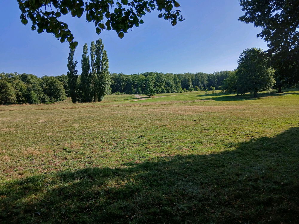 Course en région lyonnaise🥰