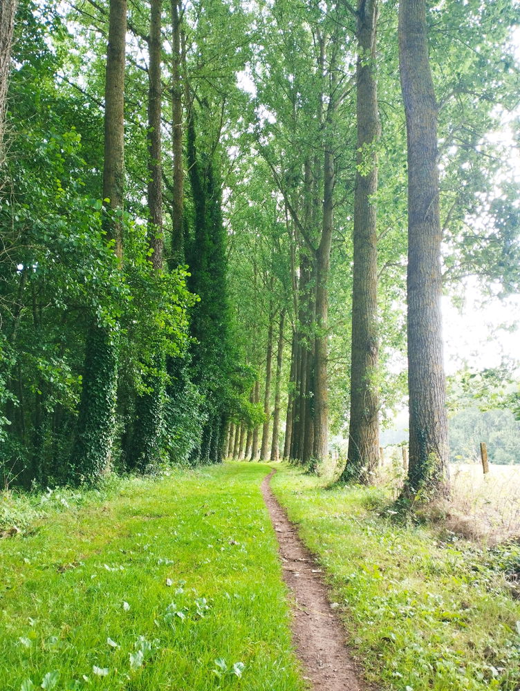 Ballade dans Hesdin 🙂