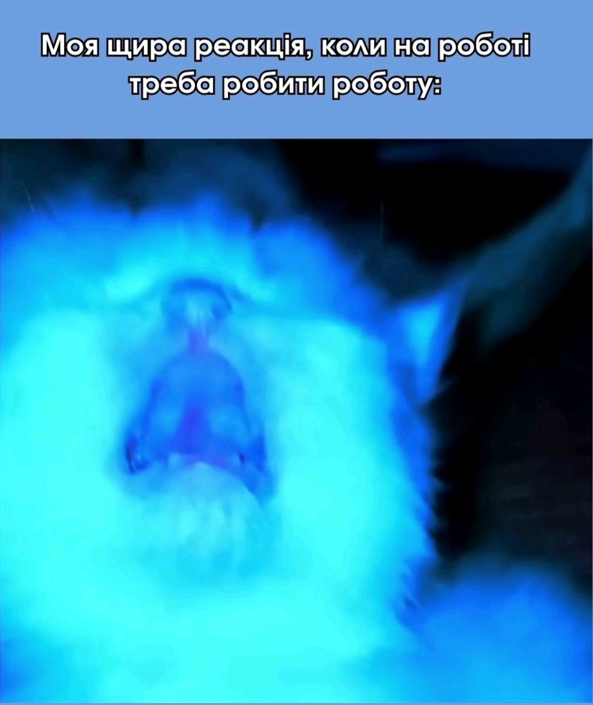 💯