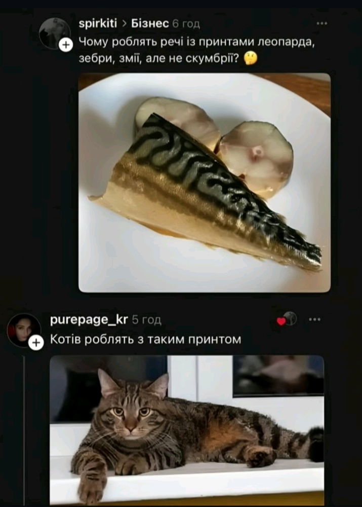 🐈‍⬛