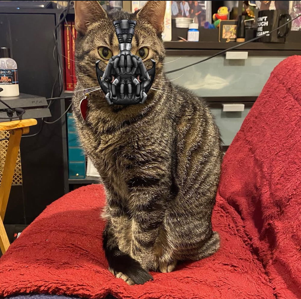 Bratimus Catimus